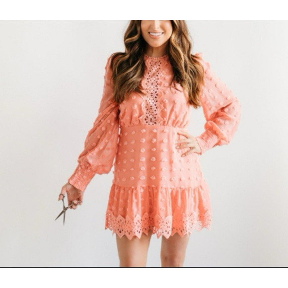 Love x Design Long Sleeve Mini Dress Swiss Dot Chiffon Lace Pink Size Small New - Picture 2 of 10